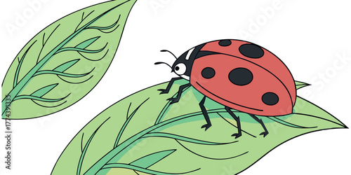 Adorable ladybug resting on a vibrant green leaf, a charming symbol of nature's beauty, ideal for children's books and springtime themes