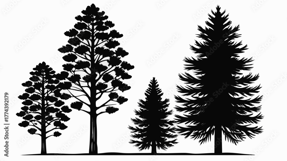 Fototapeta premium Diverse pine tree silhouettes against white background
