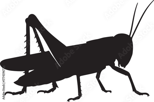 Silhouette grasshopper transparent