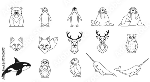 Collection of stylized line art illustrations of various Arctic animals, presented on white.