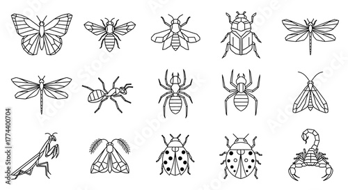 Outlined illustrations of various insects and bugs, displayed in a linear arrangement.