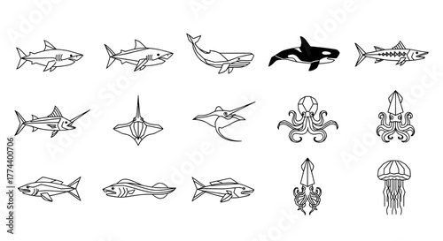 A collection of various marine animals, illustrated with detailed line art.