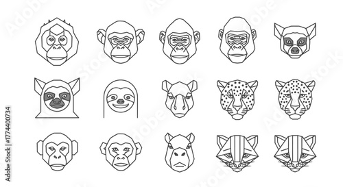 Collection of stylized animal faces in outline form, including monkeys, lemurs, sloths, cheetahs, and raccoons.