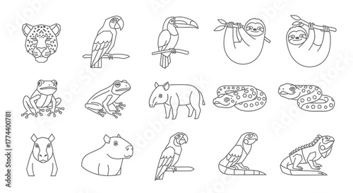 Outlined illustrations of various animals, depicting a diverse collection of wildlife species.