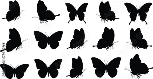 A collection of black butterfly silhouettes in various flying and resting poses, isolated on a, showcasing diverse wing shapes and movements