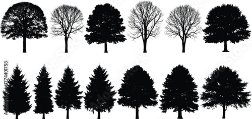 A diverse collection of tree silhouettes, showcasing different species and seasonal variations in foliage and branch structure