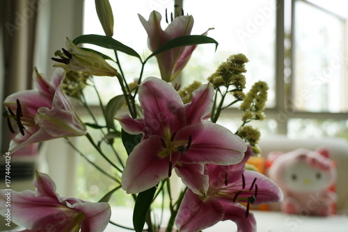 oriental hybrid lilies bloom with pink petals and sweet fragrance