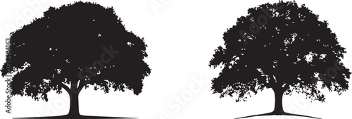Set of tree silhouettes isolated on white background. Collection of forest, nature, and woodland vector shapes for design, landscaping, and environmental concepts.