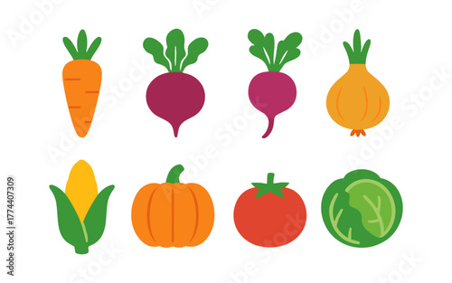 Colorful flat vegetables collection: carrot, beet, onion, corn, pumpkin, tomato, cabbage