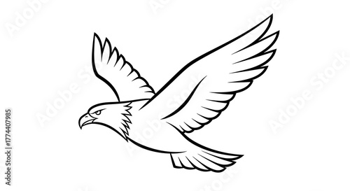 Wallpaper Mural Majestic Eagle Soaring Graphic Outline Illustration Bird Prey Freedom Strength Power Symbol Wild Wildlife Conservation Torontodigital.ca