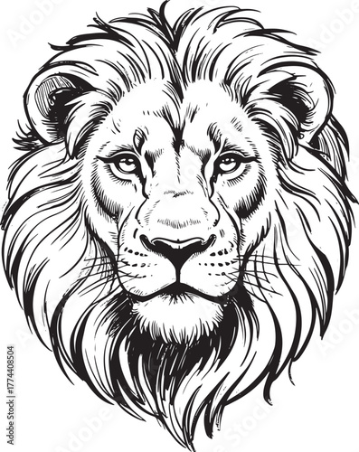 Majestic lion head drawing fierce king of the jungle portrait realistic sketch