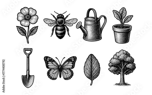 Vintage botanical elements set with insects and gardening tools