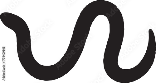 Silhouette worm transparent