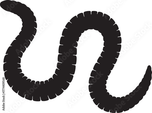Silhouette worm transparent