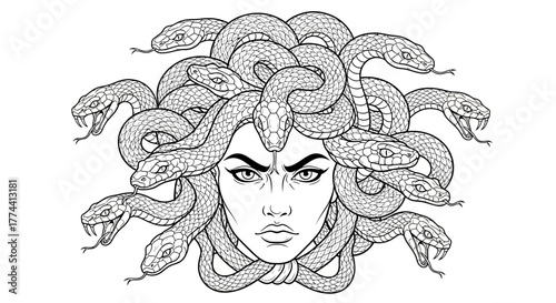 A stylized illustration of Medusa's head with snakes for hair, featuring a stern expression.