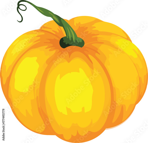 Pumpkin (Cucurbita) is a group of climbing plants belonging to the gourd family (Cucurbitaceae) that produce large edible fruits of the same name. This plant originates from the American continent.