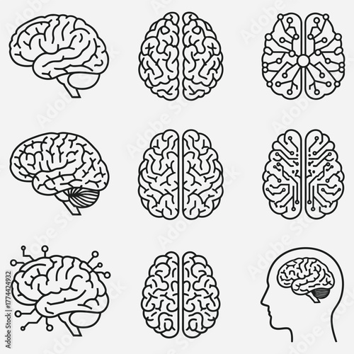 Brain Anatomy and Artificial Intelligence A Collection of Linear Illustrations