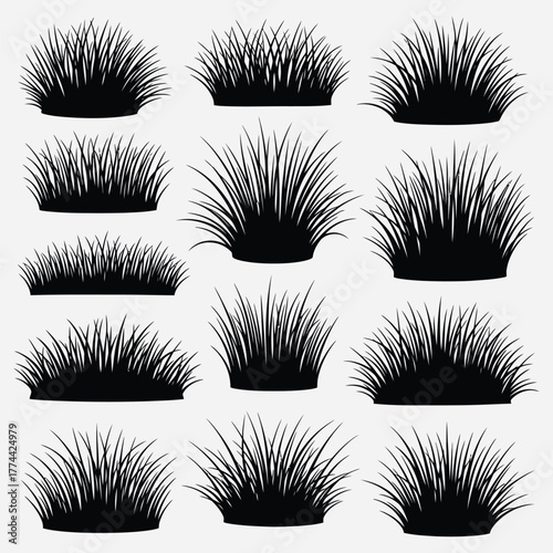 Set of black silhouette grass clumps, ideal for adding natural elements to designs, various shapes and sizes