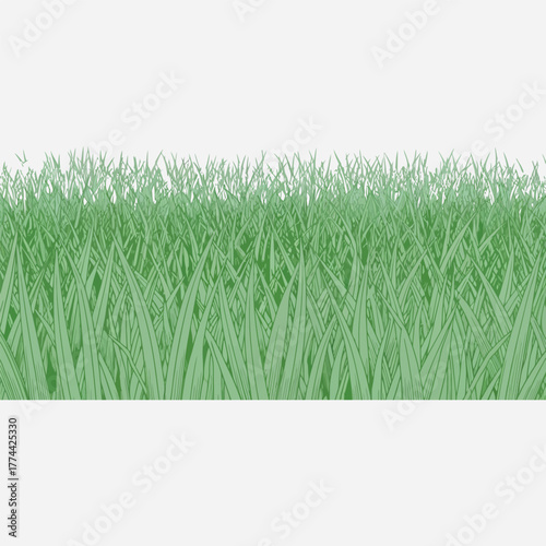 Green blades of grass growing in a field with a natural background, close up detail