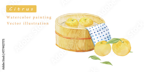 ゆずとお湯の水彩ベクターイラスト