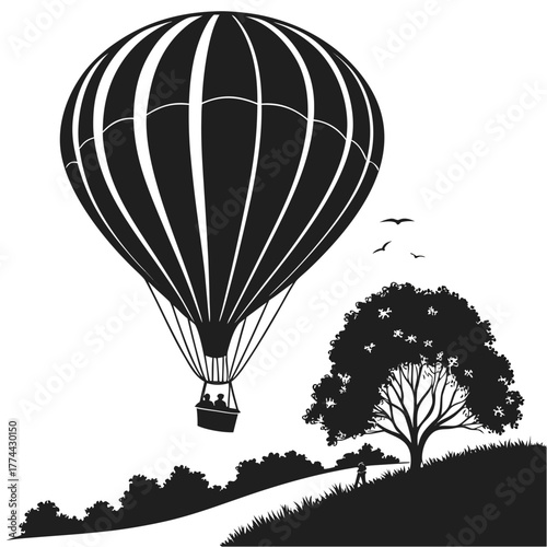 hot air balloon in the sky