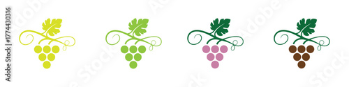 Purple grapes on vine with green leaves, logo. Grapevine symbol. Vineyard, winery icon