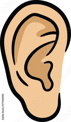 Ear - Vector Illustration