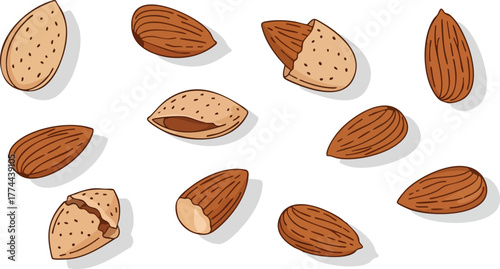Close-up illustration of several almonds, some shelled, scattered on a white surface.