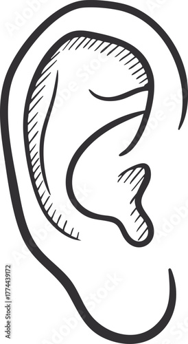 Ear - Vector Illustration