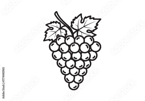 Line icon grape with leaves. Vector illustration.
