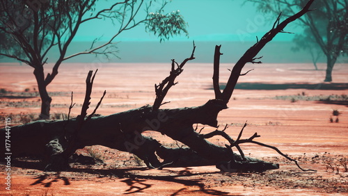 Картината върху платно A barren landscape unfolds under a bright sky, with twisted trees and dry earth creating a mystical scene