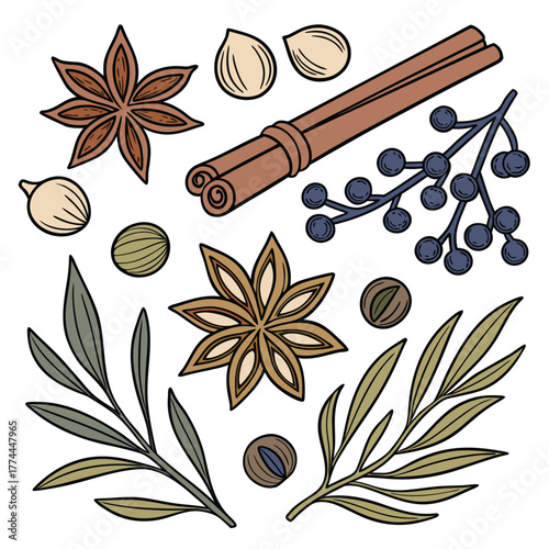 A collection of culinary spices and herbs including star anise, cinnamon sticks, berries, and various seeds and leaves, arranged on a white background.