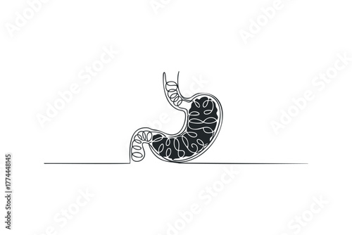 Stylized stomach internal organ organogram with swirling abstract food contents