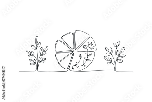Line drawing of a sliced fruit with growing plants