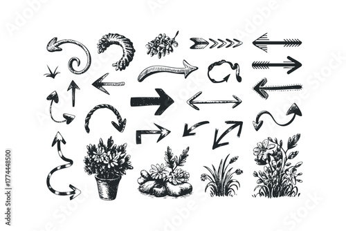 Collection of Hand Drawn Sketch Arrows and Floral Elements