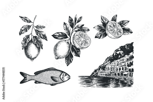 Collection of Vintage Citrus Fruit and Seaside Village Sketches