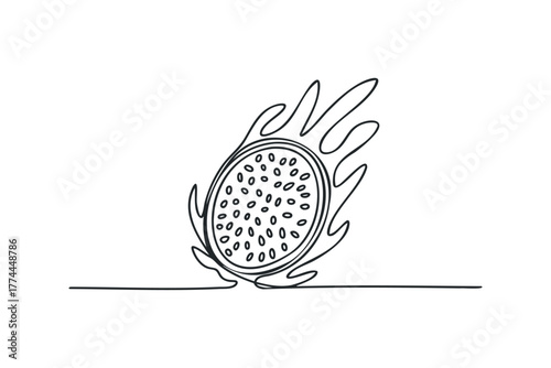 Dragon fruit slice line drawing
