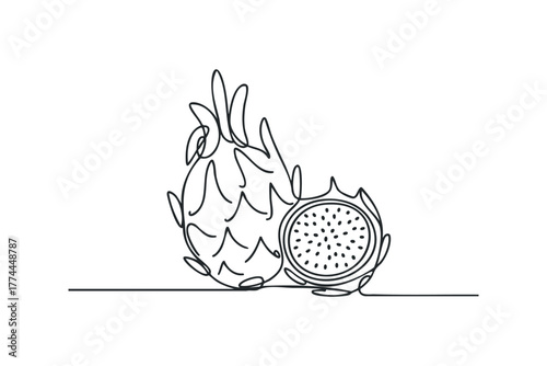 One Line Drawing of Dragon Fruit