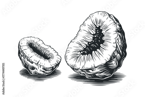 Cross section of two large raspberries in vintage engraving style