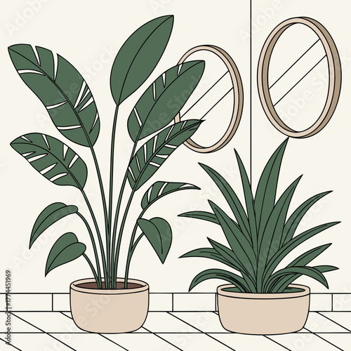 Stylized illustration of two potted houseplants with large leaves and two decorative mirrors on a wall