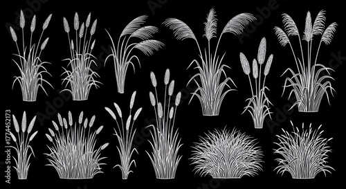 grass silhouettes set