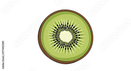 An isolated top-down view illustration of a fresh kiwi fruit slice with vibrant green pulp, white center, and black seeds.