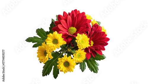 Vibrant red and yellow daisy bouquet, centered on black background with green leaves interweaving flowers