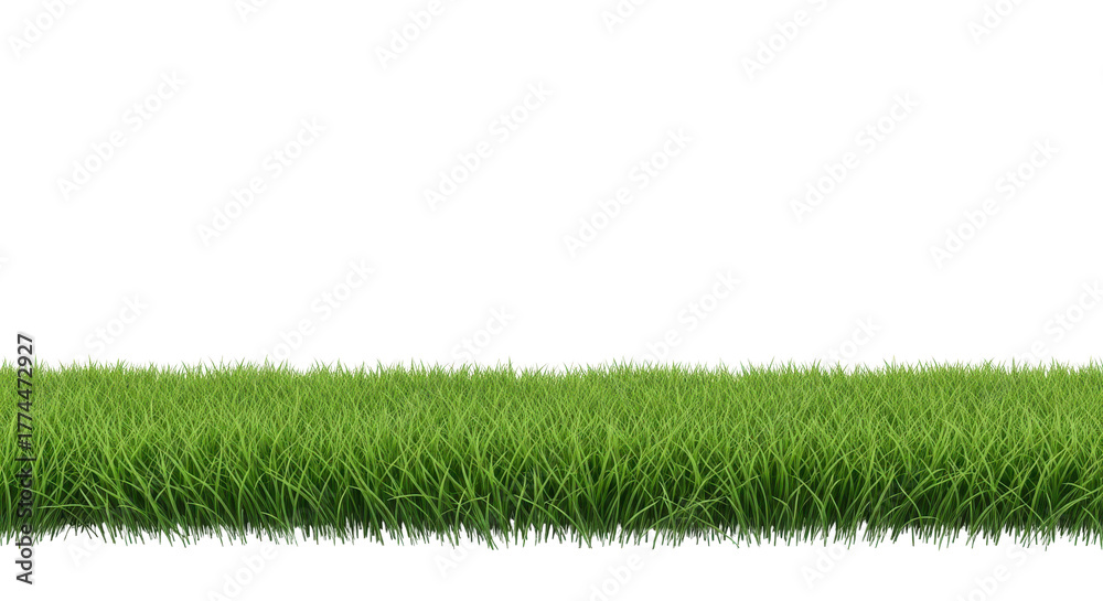 Fototapeta premium Realistic green grass turf border strip isolated, ideal for spring or summer design projects. isolated PNG with Transparent Background