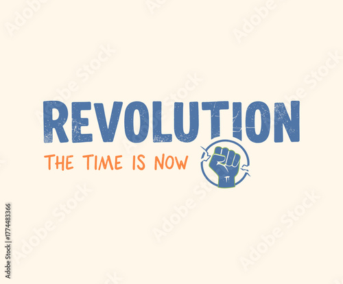 protest slogan featuring a crossed-out crown and the words 'NO KING'. The design symbolizes opposition to authority and political policies