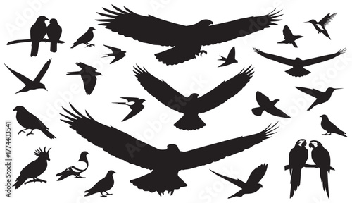 Set of various bird silhouettes vector graphic collection isolated on white background for design.