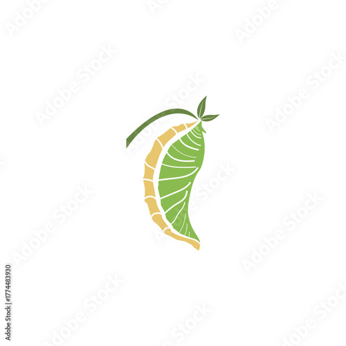 Cocoon logo vector illustration design template