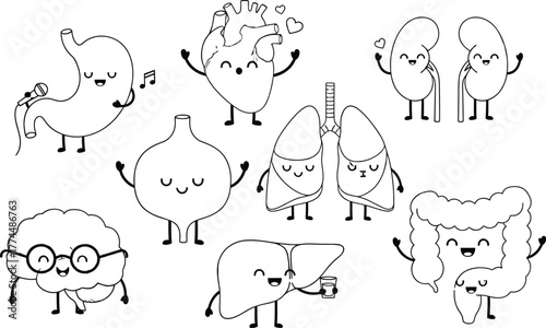 Cute cartoon human organs anatomy health education illustration