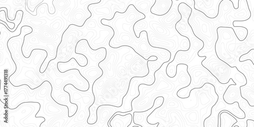Topographic Background. Abstract wavy and curved lines background. Abstract geometric topographic contour map background Free Vector