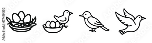 Charming hand-drawn bird and nest icons for nature and family themes